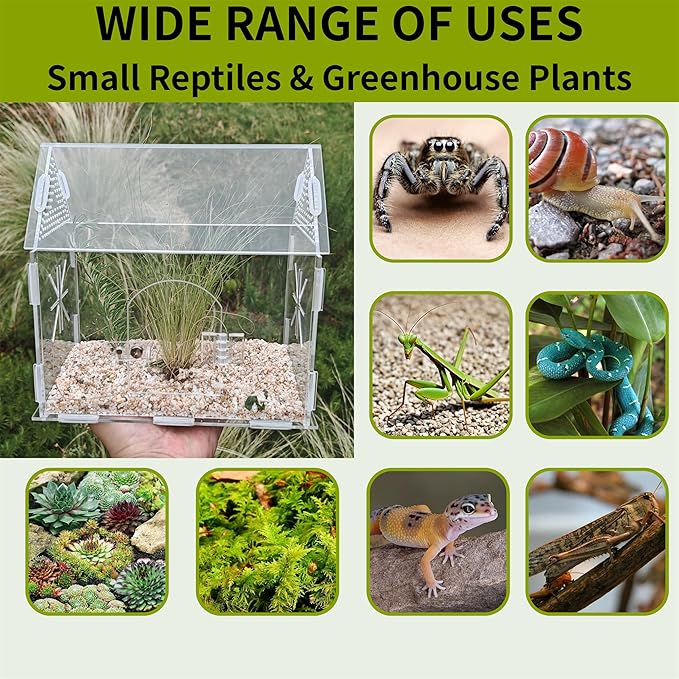 Jumping Spider Enclosure, Acrylic Terrarium for Praying Mantis, Small Tarantula Enclosure with Front Door, Versatile Reptile Habitat for Lizard, Snails, Gecko, Farmhouse Barn Shape 8.6"L*5.4"W*7.9"H