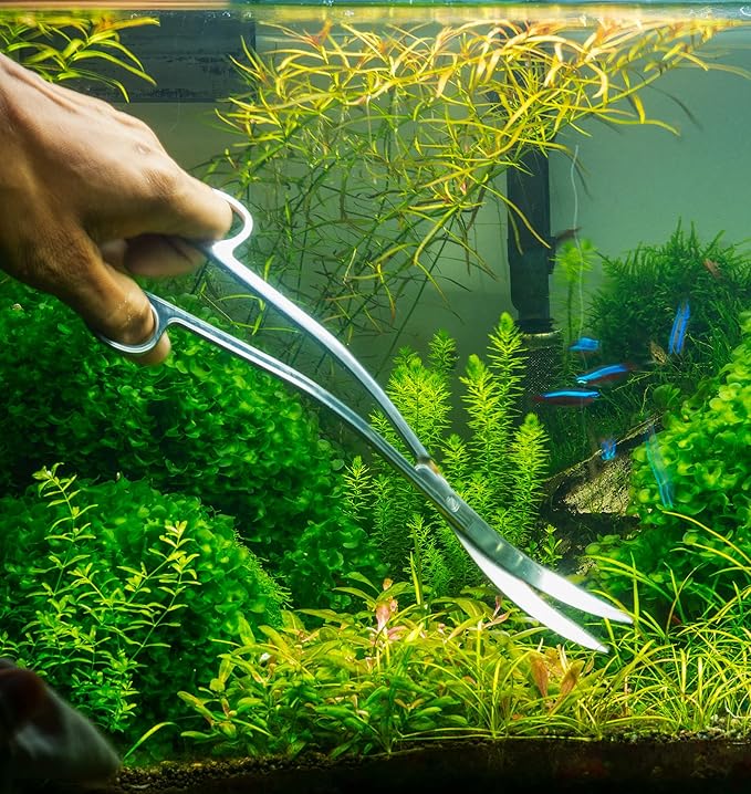 Mandala Crafts Rainbow Stainless Steel Aquascaping Tools Kit – Aquarium Plant Tools with Tweezers, Spatula, and Scissors for Fish Tanks, Hospital Tanks, Goldfish Bowls, Aquariums, and Terrariums
