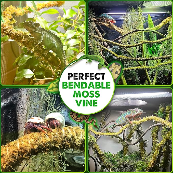 Duspro 6.5FT Reptile Vine & Moss Set for Climbing Bendable Branch, Natural Moss Rope Jungle Decor for Bearded Dragon, Chameleon Tank Accessories, Snake Gecko Lizard Terrarium
