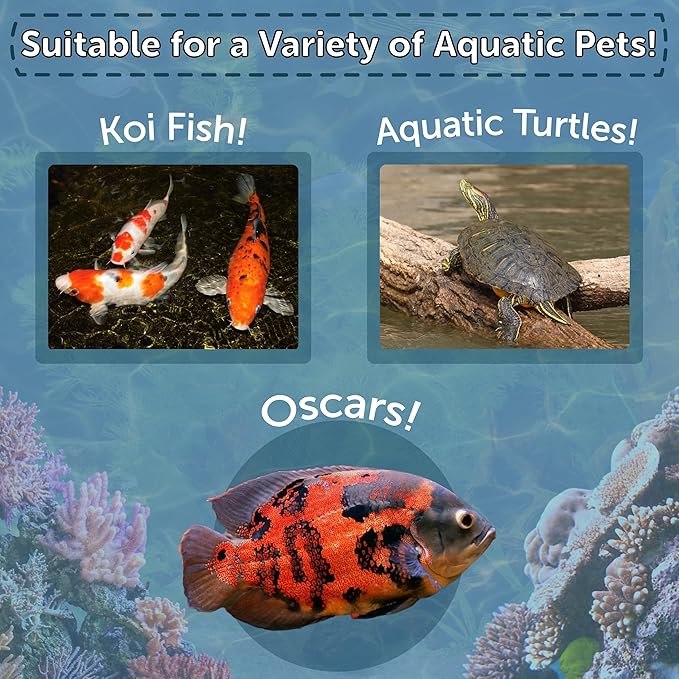 Aquatic Foods Inc. Red Shrimp, Freeze Dried 1/2" to 1 & 1/4" Floating Red River Shrimp for Cichlids, All Tropical Fish, Koi & Pond Fish, Aquatic Turtles, Reptiles, Rodents 2oz Canister