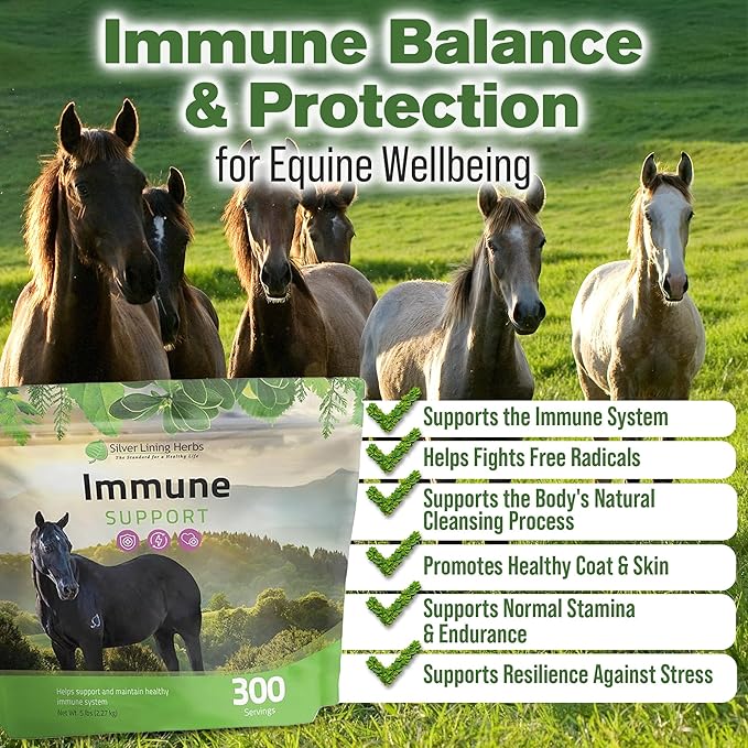 Silver Lining Herbs Immune Support for Horses – Natural Horse Supplements for Immune System, Stamina & Detox – Herbal Horse Health Formula – 5 lb (300 Servings)