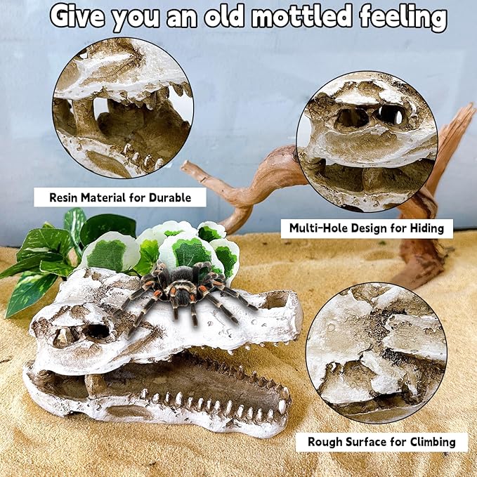 Tfwadmx Human and Crocodile Skull Decor, Snake Hide, Tarantula Enclosure Accessories, Resin Skull Reptile Terrarium Tank Decor for Geckos, Lizards, Spiders