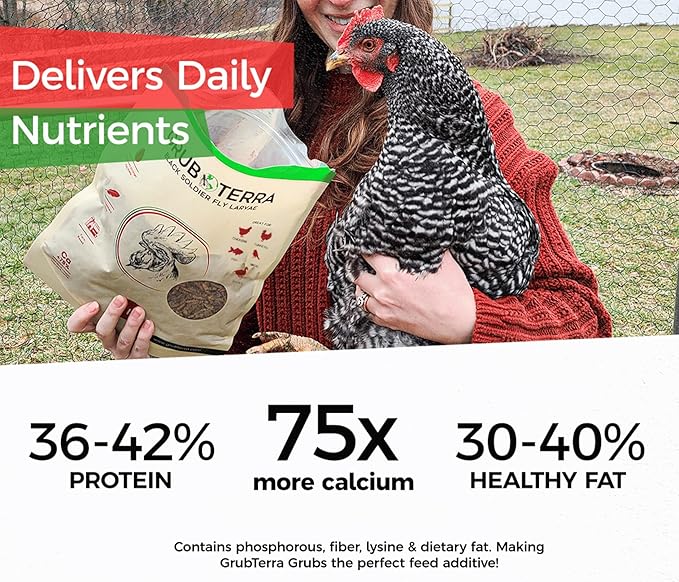 GrubTerra Golden Dried Black Soldier Fly Larvae - Premium Supplement to Increase Egg Production for Hen Treats, Bird Feed, Chicken Feeder, Pet Bird Food, and Wildbird Feed, Never from China! (1lb)