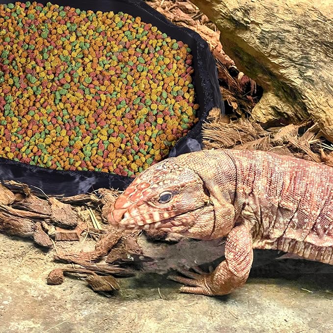 Gecko Cave Reptile Feeding Tray – Naturalistic Pet Dish for Lizards, Snakes, Bearded Dragons, Tortoises & Turtles - Black
