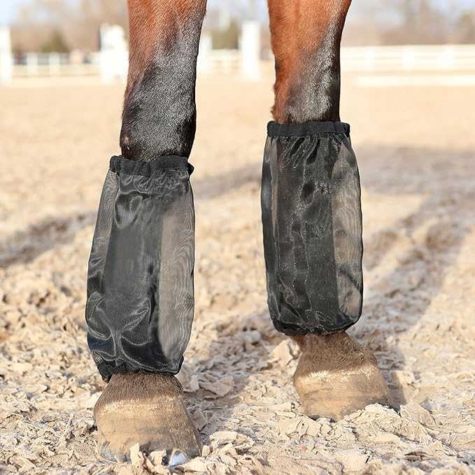 Equine Protective Mesh Leggings & Fly Boots Breathable UV Protection, Non-Slip Fit, Set of 4 (Black)