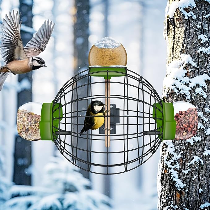 LONA Squirrel Proof Bird Feeding Cage for Outdoor All-Weather Metal Caged Bird Feeder with Peanut Butter Jar Holder, Trapeze Stick, Chew-Proof Feeding Cage for Small Birds (Round Cage, 3 Feeding Units