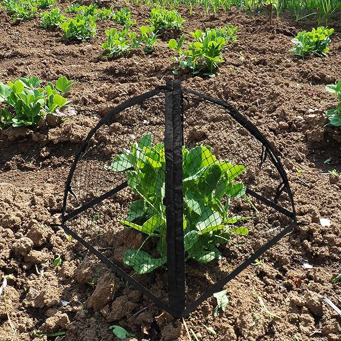 Strawberry Plant Protector,22 x22 x 22 Inch Cloche Dome for Plants,Plant Protection Tent For Plant Cages to Keep Animals Out,Mesh Plant Cover for Plant Protectors from Animals,Chicken Wire Cloche 1PC