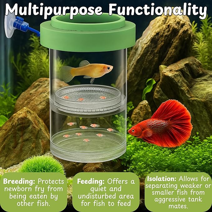 Betta Guppy Breeding Box for Fish Tank and Artificial Plants, Floating Guppy Breeding Box with Suction Cups, Acrylic Breeder Isolation Incubator for Aquarium Tank, Hatchery Breeder Chamber (Green, M)