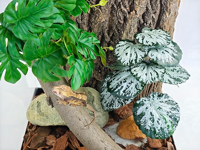 Woyrise Reptile Artificial Plants for Terrarium Decor, Amphibian Habitat Decorations Bearded Dragon Tank Accessories fit Crested Gecko Leopard Lizard Chameleon Snake Frog - Fake Spots Heuchera