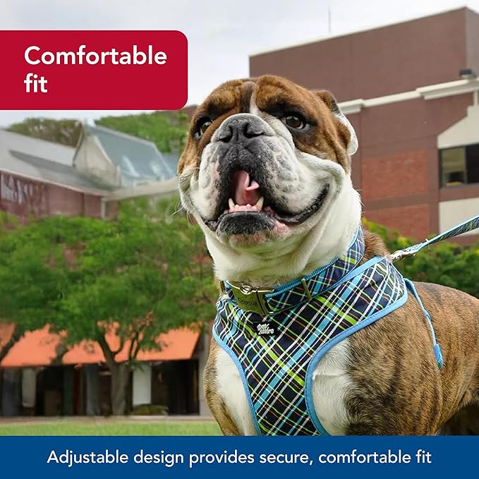 Coastal Pet - Ribbon - Adjustable Dog Collar with Metal Buckle, Red with Paws, 5/8" x 08"-12"
