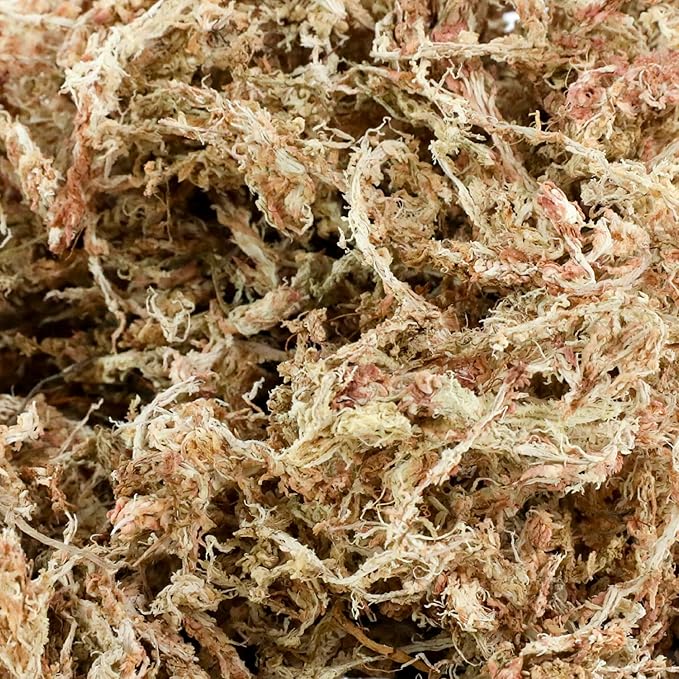 Mossify Premium Sphagnum Moss for Plants 5kg, 11 lbs - Long Fiber Moss for Plants Indoor, Orchids, Terrariums, Gardening, Reptiles – Moisture Plant Moss for Propagation, Soil & Habitat Bedding