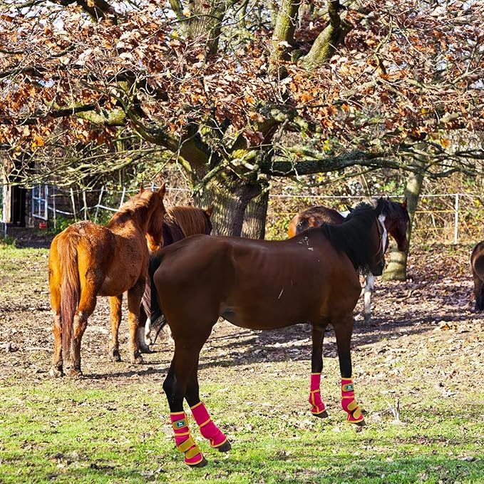 Fly Boots for Horses Set of 4 – Breathable Mesh Leg Protection for Summer with Ventilated Design & All-Day Comfort （Pink，Large