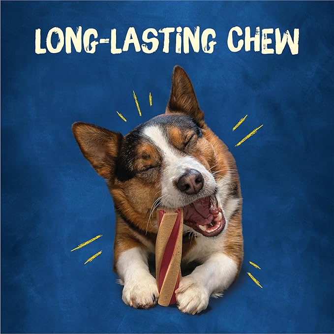 Purina Busy with Beggin’ Twist’d Adult Dog Chew Bone Treats - 10 ct. Pouch
