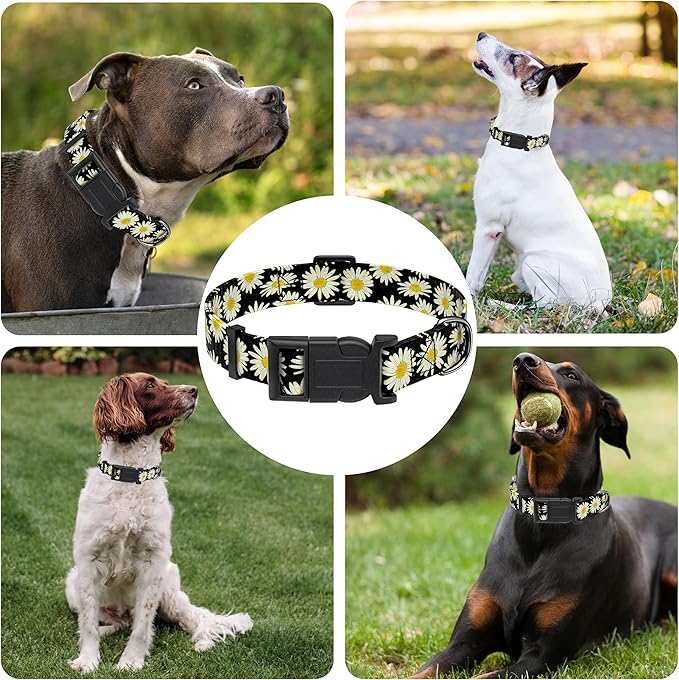 Dog Collar, Daisy Boys Girls Puppy Collar for Small Medium Large Dogs, Adjustable Soft Floral Pet Collar with Safety Buckle for Male Females(Black Daisy,XS)