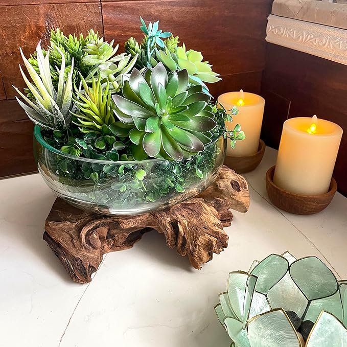 Molten Glass Bowl on Driftwood, 10 Inch Low Wide Hand Blown Decorative Bowl, Unique Natural Wood and Glass Sculpture, Table Centerpiece, Planter or Terrarium, Driftwood and Glass Bowl Decor for Home