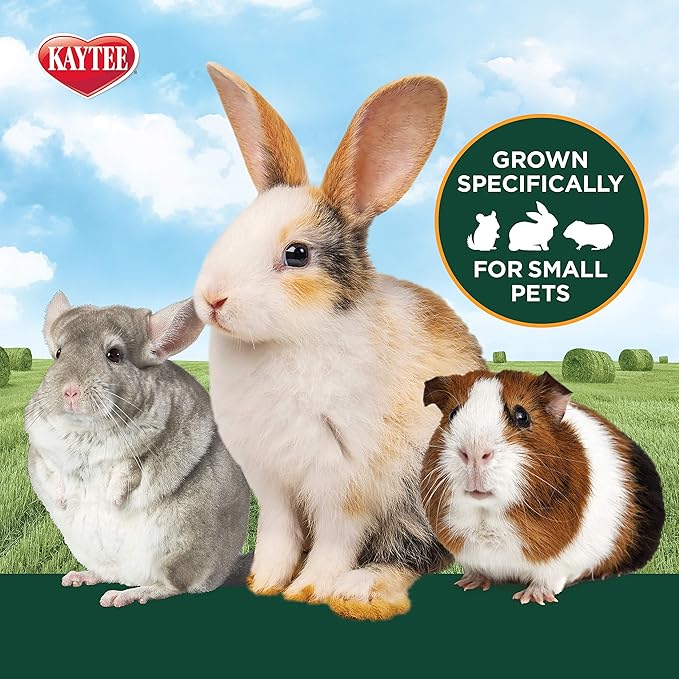 Kaytee All Natural Timothy Hay Plus Cranberries for Guinea Pigs, Rabbits & Other Small Animals, 24 Ounce (Pack of 2)
