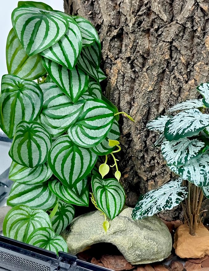 Woyrise Reptile Plants, Terrarium Hanging Plant Vines, Artificial Leaves with Suction Cup, Bearded Dragon Tank Accessories for Gecko Lizard Snake Frog Tortoise Decorations - Calathea Orbifolia