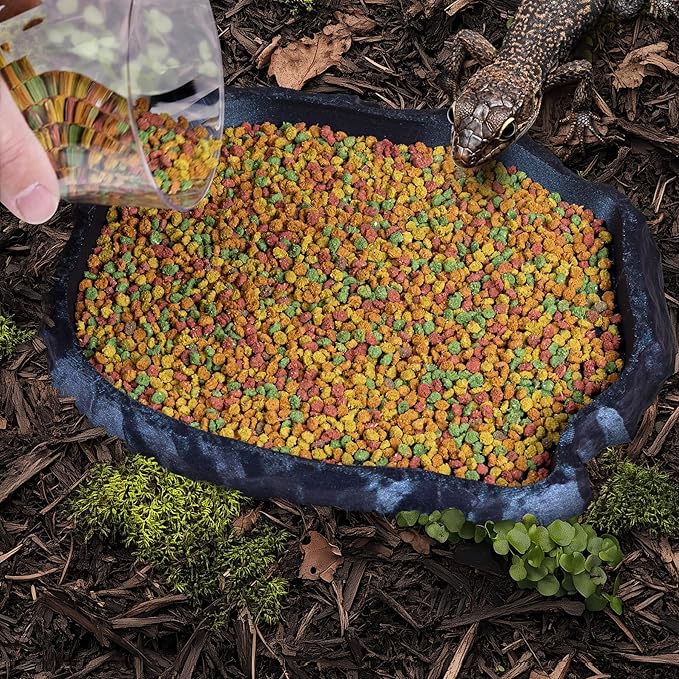 Gecko Cave Reptile Feeding Tray – Naturalistic Pet Dish for Lizards, Snakes, Bearded Dragons, Tortoises & Turtles - Burnt Titanium