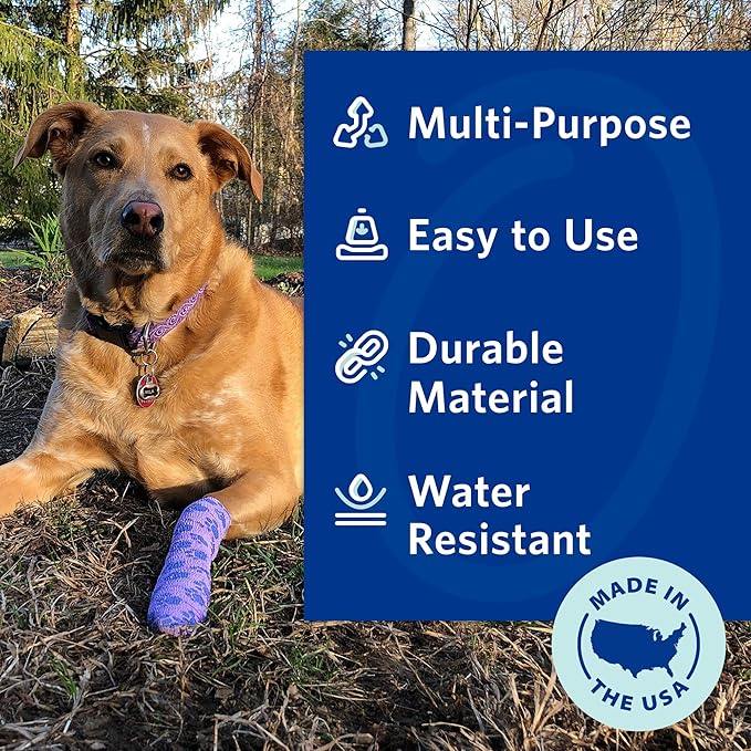 PetFlex No Chew – Flexible Self-Adhering Elastic Bandage for Wound Care – First Aid Wrap for Small Animals Like Dogs, Cats, and Other Pets - 2 inch, 2 Rolls