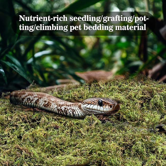 Sphagnum Moss for Reptiles - 7 Oz Reptile Moss Peat Terrarium Moss Bedding Reptiles Lizard Substrate for Reptile Tank, Snake, Leopard Gecko, Ball Python, Crested Gecko, Turtle, Frog, Hamster