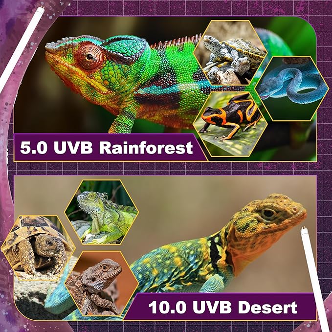 5.0 UVB Light for Reptiles, T5 HO 8 Watt Reptile Lamp Tube, Pack of 2 Fluorescent UVB Bulb, Basking Light for Bearded Dragon, Simulate Natural Sunlight for Reptiles and Amphibians