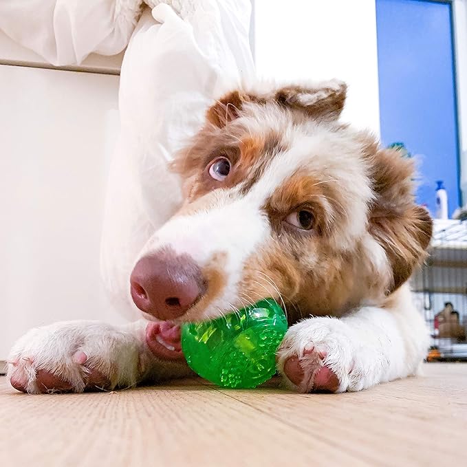 Hyper Pet DuraSqueak Dog Ball Toy, Interactive Dog Toys that Float and Squeaks for Playing, Fetching and Retrieving-Great Alternative to Traditional Tennis Balls Green 2.5 Inch
