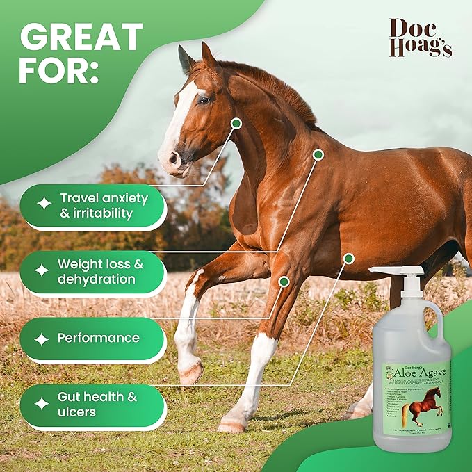 Doc Hoag’s Aloe Vera+Agave Premium Horse Supplement – Made in USA – Original Udder Balm – Natural Gastric Support for Horses & Large Animals – Stress Relief & Ulcer Care, 128 Fl Oz.