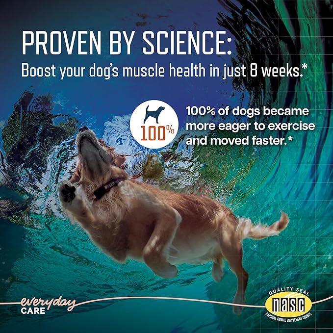 Virbac URSOLYX Soft Chews for Dogs | Muscle Health Support for Senior, Active or Recovering Dogs, Small | 60 Count 2- Month Supply