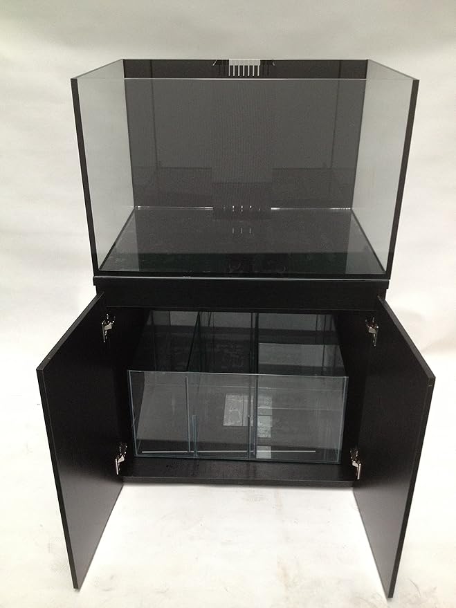 SCA 66 Gallon Starfire Rimless Aquariums Pnp System 32x24x20 10mm with Built-in Overflow