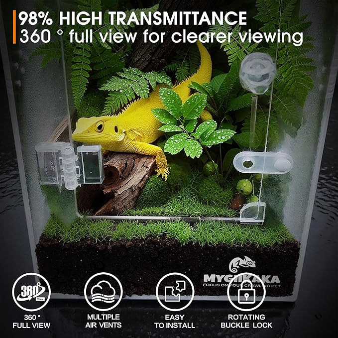 Jumping Spider Enclosure Accessories, Tarantula Spider Box, Bug Cage, Praying Mantis Habitat Enclosure, Snail Insect Terrarium, Caterpillar Habitat (6x6x12 inch)