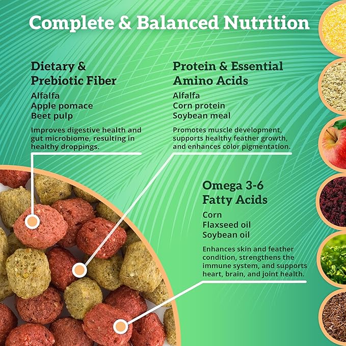 Scenic Mix Paradise Premium Parrot Food - Apple & Natural Flavors, High Protein, Low Iron Conure Bird Food, Eclectus & Other Small Pet Parrots, Omega 3, Vitamins & Minerals, 2 LB (Pack of 2)