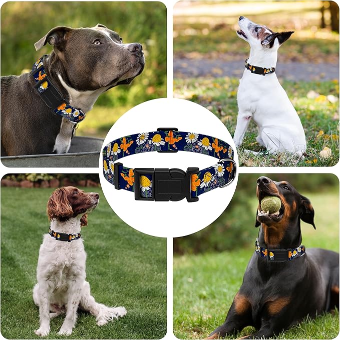 Dog Collar with Butterflies Print, Daisy Boys Girls Puppy Collar for Small Medium Large Dogs, Adjustable Soft Floral Pet Collar with Safety Buckle for Male Females(Blue Butterfly,L)