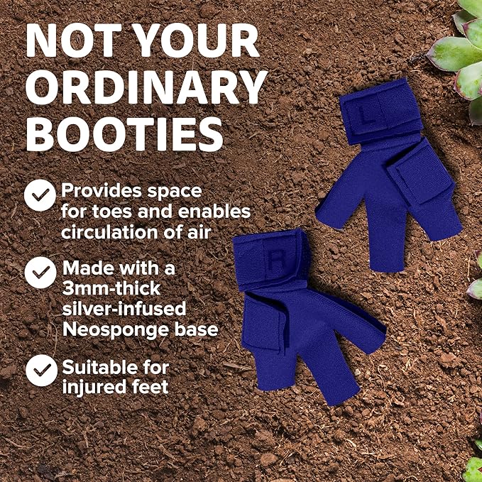 Chicken Shoes for Injured Feet – Protective Neoprene Footwear for Chicken, Open-Toe Design for Bumblefoot Relief, Made in USA - Standard, 3" Max. Inside Width, Royal Blue