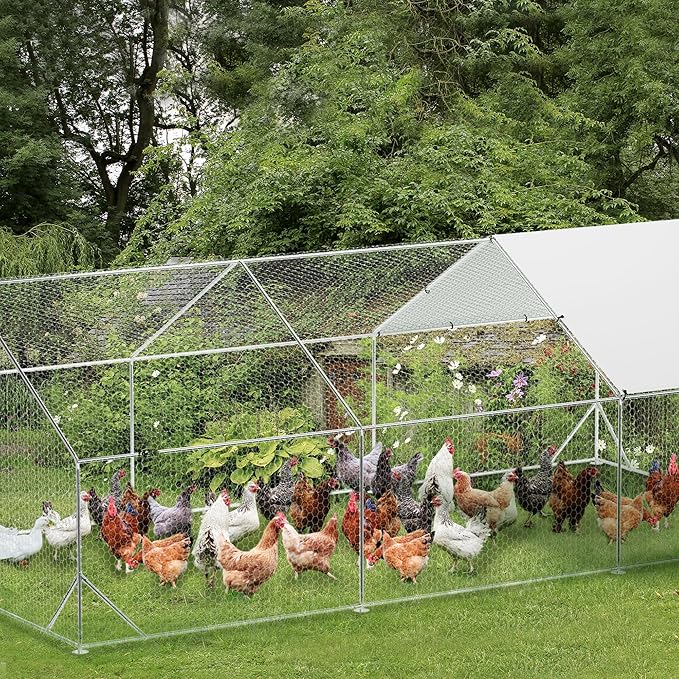 Large Metal Chicken Coop Run,Outdoor Walk-in Cage Peak Hen House with Waterproof and Anti-Uv Cover,Spire Roof Hen House with Security Lock for Outdoor,Backyard and Farm, 9.8 x 19.7 x 6.6 Ft