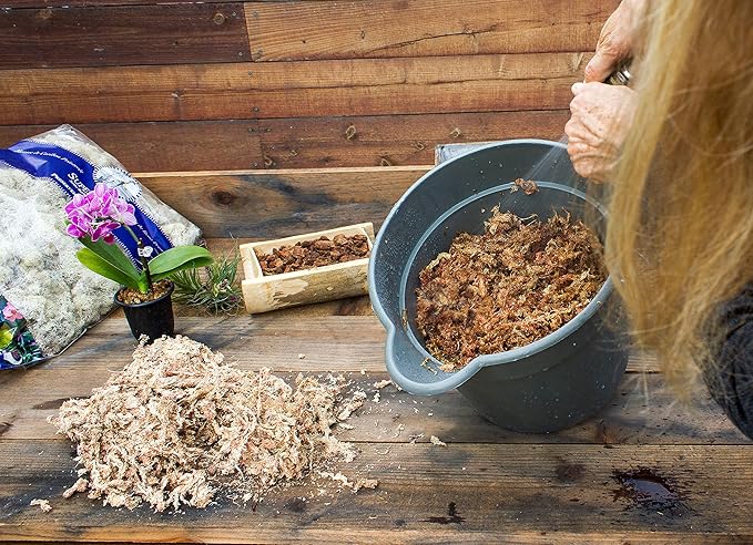 SuperMoss (22325) Orchid Sphagnum Moss Dried, Natural, 1 Pound Mini Bale