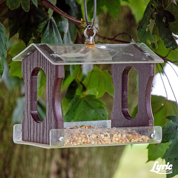 Lyric Fine Tunes Wild Bird Seed - No Waste Bird Food Mix - Attracts Colorful Wild Birds - Perfect for Your Backyard Feeders - 10 lb. (pack of 2 - 5 lb bags)