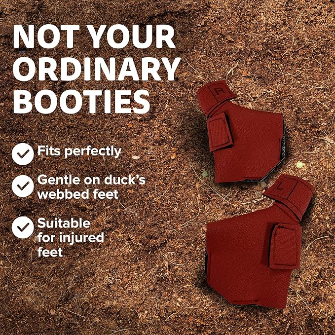 Duck Shoes for Injured Feet – Protective Neoprene Footwear for Ducks, Protective Shoes for Birds with Injured feet, Bumblefoot Relief - Medium, 3.5” Max. Inside Width - Red