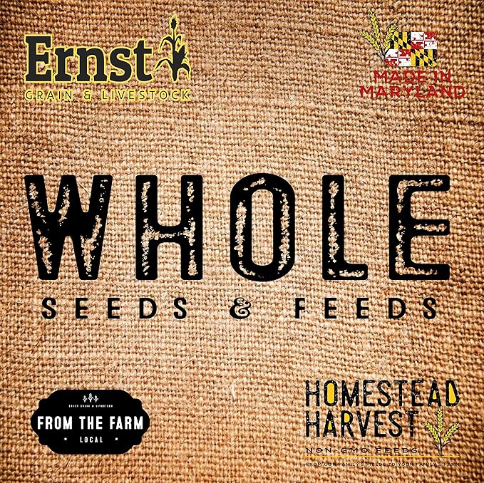 Ernst Grain Cracked Corn, Non-GMO – Perfect Feed for Ducks, Squirrels, Chickens, Ducks, Deer, Rabbits, Geese, and More! (46 lb)