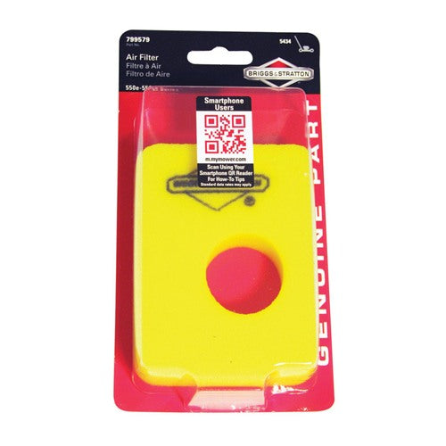 Briggs & Stratton Air Filter For 441618 5434K