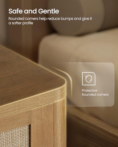 Set of 2 Boho Nightstands with Rattan (Natural Brown / 15"D x 18.9"W x 23.6"H-BOHO)