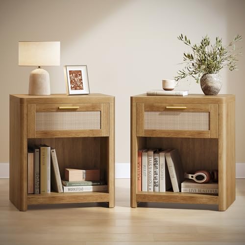 Set of 2 Boho Nightstands with Rattan (Natural Brown / 15"D x 18.9"W x 23.6"H-BOHO)