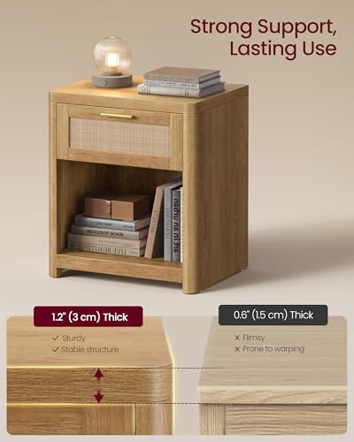 Set of 2 Boho Nightstands with Rattan (Natural Brown / 15"D x 18.9"W x 23.6"H-BOHO)